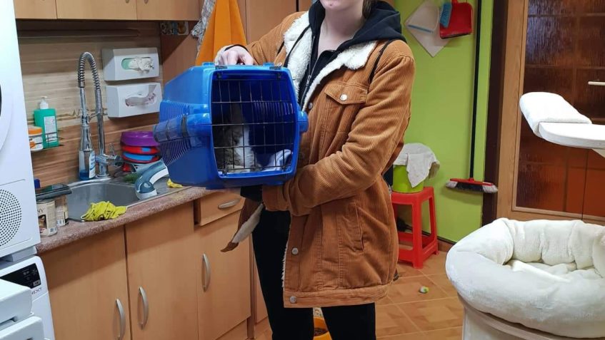 DO NOVÉHO DOMOVA ODEŠEL TAKÉ FLEKMOUŠEK JIDÁŠ  ČEKÁ HO PSÍ K...