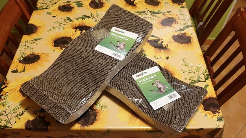 DĚKUJEME NEZNÁMÉMU DÁRCI ZA ŠKRABADLA , TAHLE PAPÍROVÁ KOČIČ...