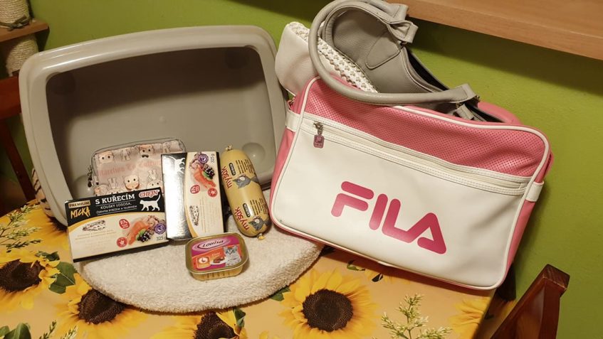 DĚKUJEME SLEČNĚ JANĚ ZA DÁRKY PRO KOČIČKY A DO NAŠICH AUKCI