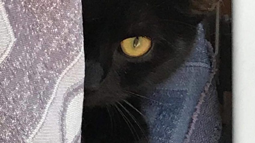 JEŠTĚ PÁR FOTEČEK S CIKY...