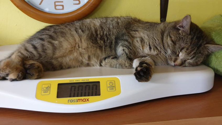 KOUZLO  MŇUKNA  KDYŽ SPÍ - NIC NEVÁŽÍ