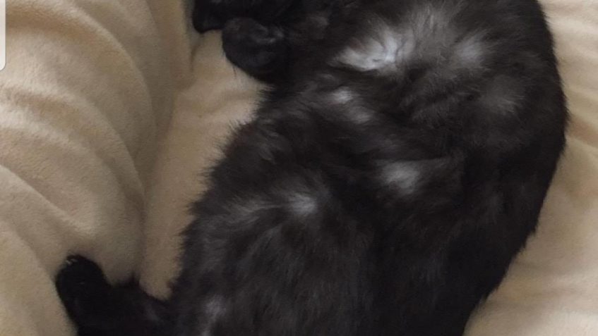 KULIČKA POZDRAVUJE SLUNÍČKA...