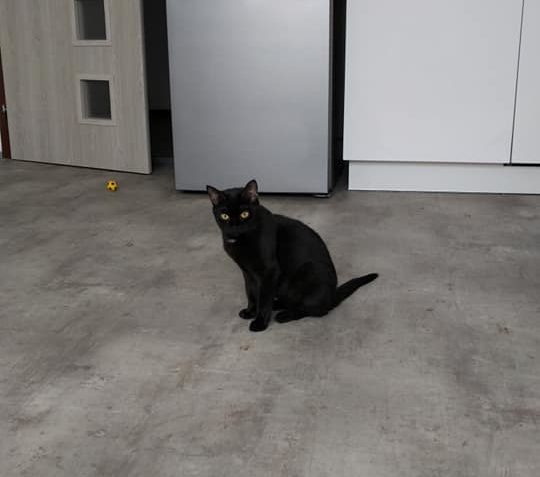 MAGGIE alis MAŠLIČKA...