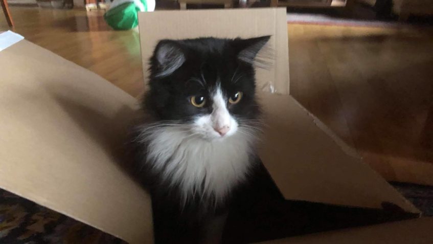 MARUŠKA  s RAGOUSKEM ZDRAVÍ SLUNÍČKO...