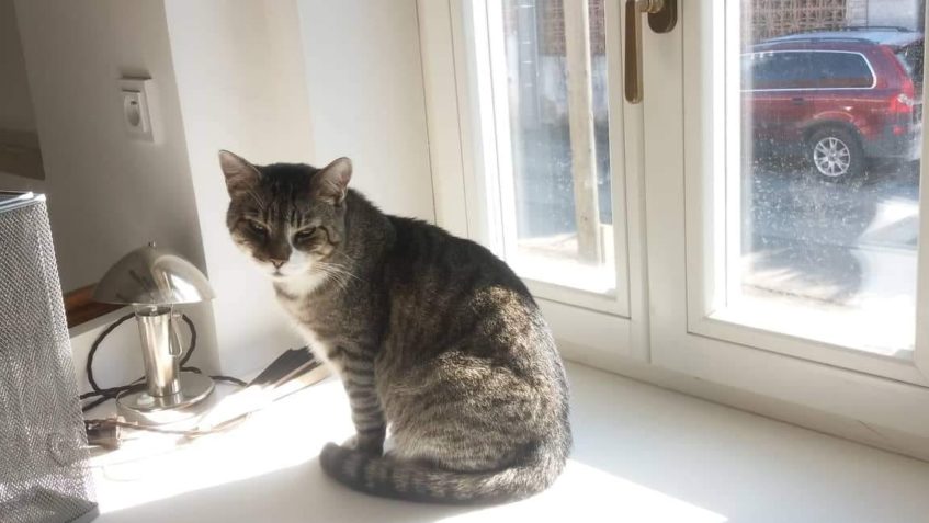 MOUREK Z ČERNOUČKU UŽ NENÍ DEFINITIVNĚ Z ČERNOUČKU...