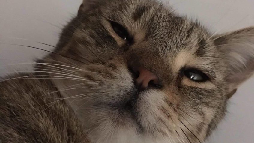 MÁM, NEMÁM,..... ASI NA TO TEDA DLABU...