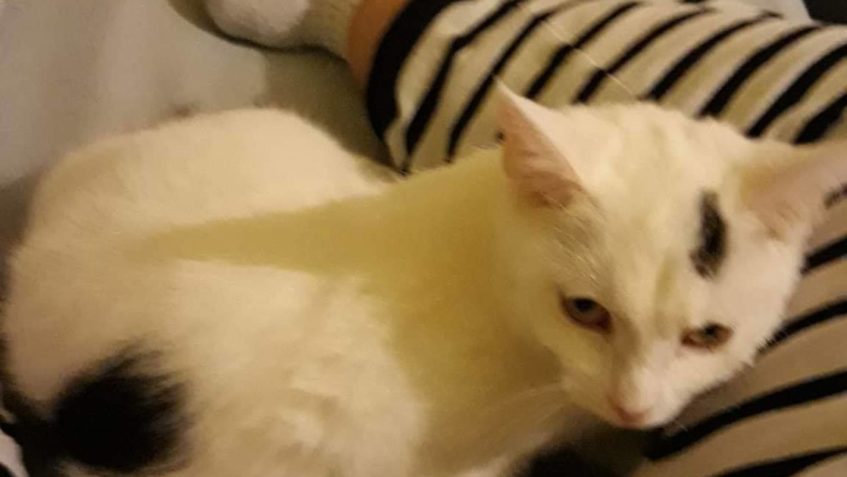 MÁME OBROVSKOU RADOST   DROBEČEK našel opravdu úžasnou mami...