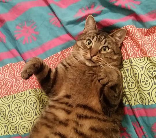 MÁME VŽDY OBROVSKOU RADOST  Z KAŽDÉ ZPRÁVY Z NOVÉHO DOMOVA ....