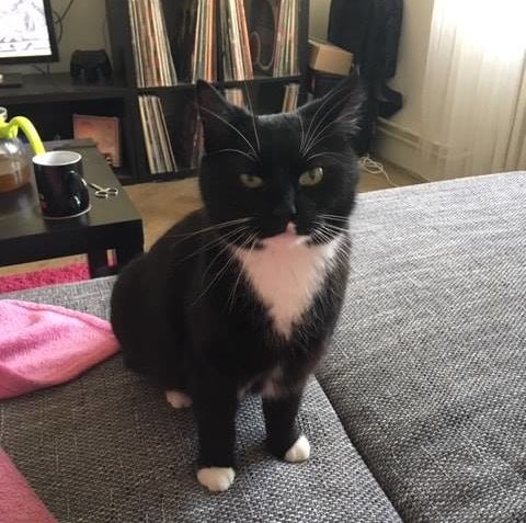 MÁTE TU DNES DALŠÍ...