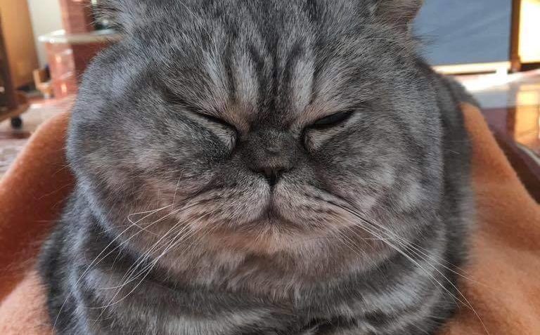 ON SE NEMRAČÍ  ON SE USMÍVÁ...