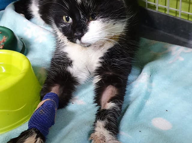 PO VYDATNÉ VEČEŘI  JE POTŘEBA SE NATÁHNOUT