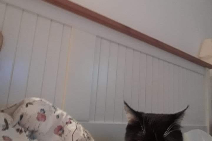 POZDRAV OD MATONKY Z NOVÉHO DOMOVA