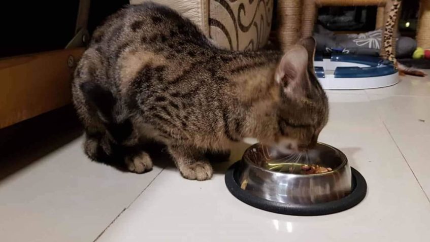 PRVNÍ FOTKY A ZPRÁVA OD HYNEČKA...