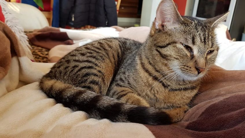 PŘED PÁR DNY K NÁM PŘIJEL PÁR. UMŘEL JIM PARŤÁK, ČLEN RODINY...