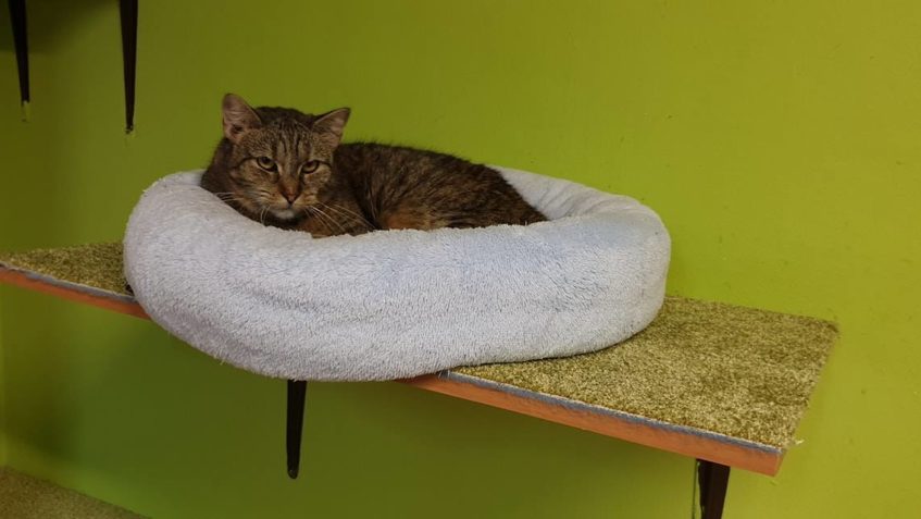 TAK JSME DNES VYHLÁSILI BOJ PLÍSNI...