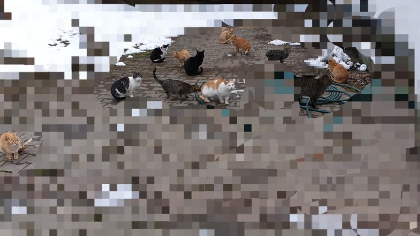 VČERA  JSNE ZAPOČALI JEDNU Z...