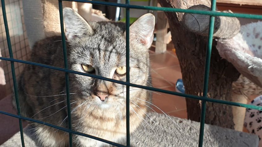 VČERA TO NA SLUNÍČKU  UŽ KRÁSNĚ PEKLO , VOLIÉRA BYLA V KURSU...