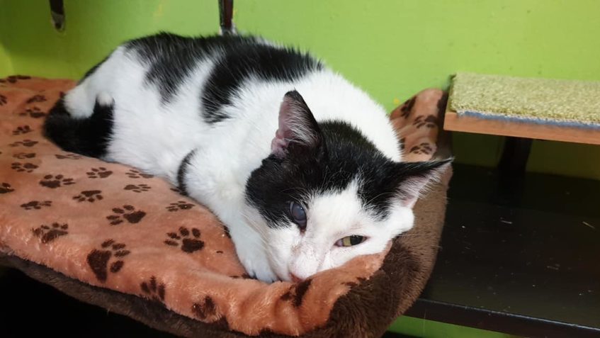 ZAPAD DEN - SLUNKA SVIT - VYMIZEL- Z ÚDOLÍ - Z TEMEN HOR O...