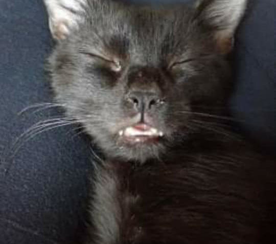 ZATÍM KRÁTKÝ POZDRAV POSÍLÁ BUENO  OD TOHOTO NAŠEHO VYPIPLÁN...