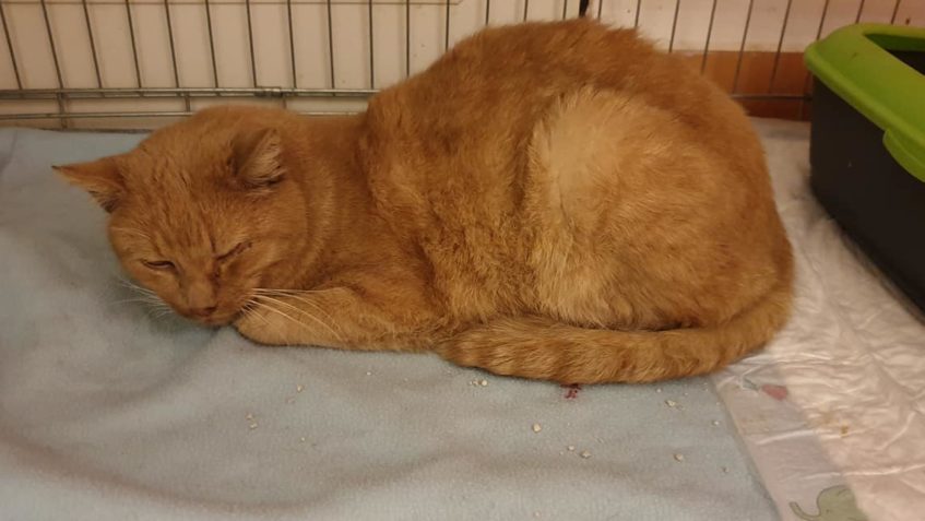 ZPRÁVY Z LOKALITY "C"...