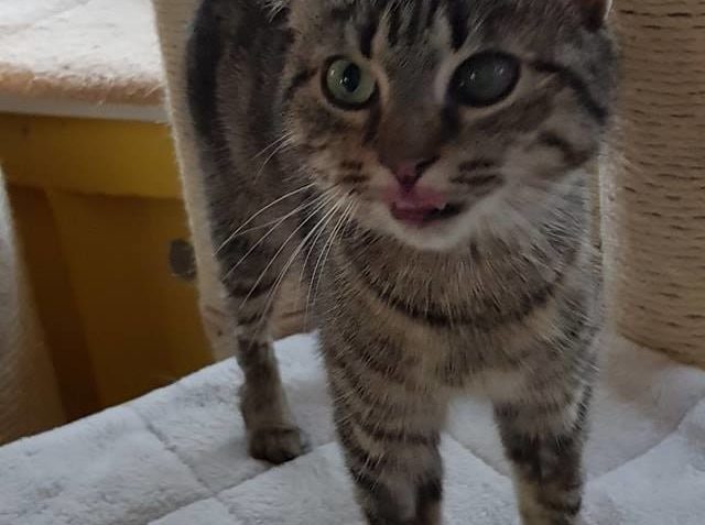 Zpravodajství do 25.2.2019...