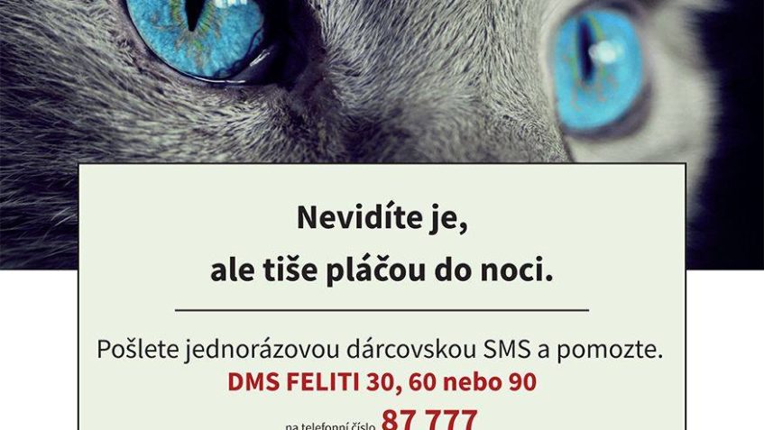 100.000 Kč !!! - to je částka, kterou jsme UHRADILI ZA KASTR...