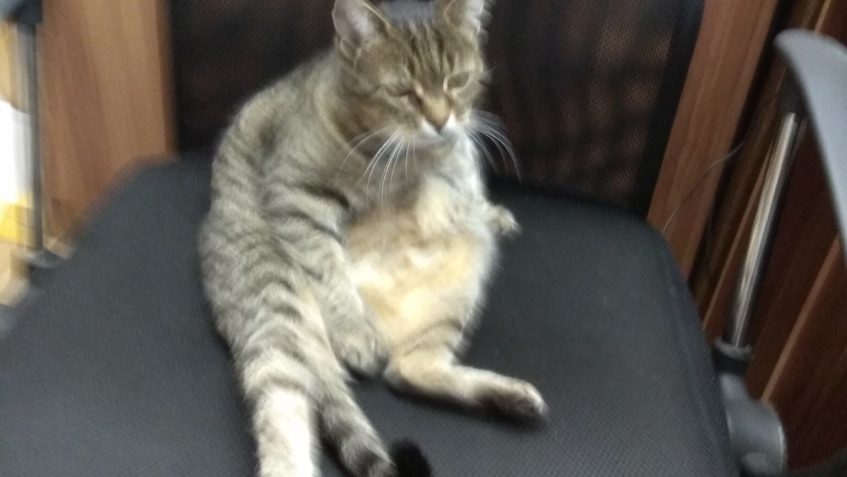 Bývalé Sluníčko Ketynka nám píše:...