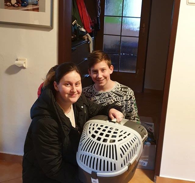 DNES BYL ADOPČNÍ DEN  A NOVÝ DOMOV NAŠEL JEDNOOKÝ  KOCOUREK ...