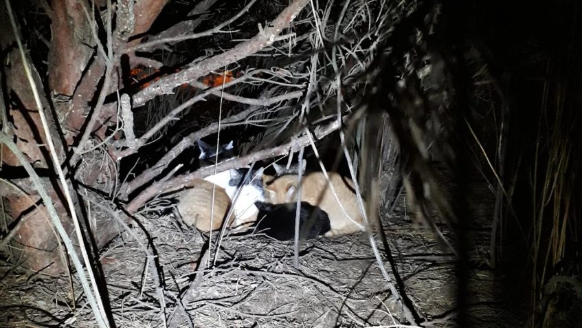 DNES V NOCI JSME SI UDĚLALI KONTROLNÍ VÝLET DO JEDNÉ Z LOKAL...