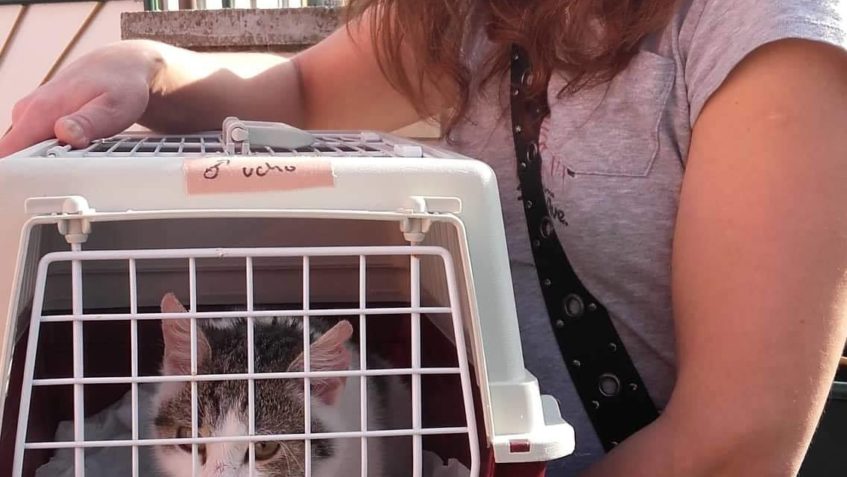 DRŽÍME TLAPKY HAŠIŠKOVI...