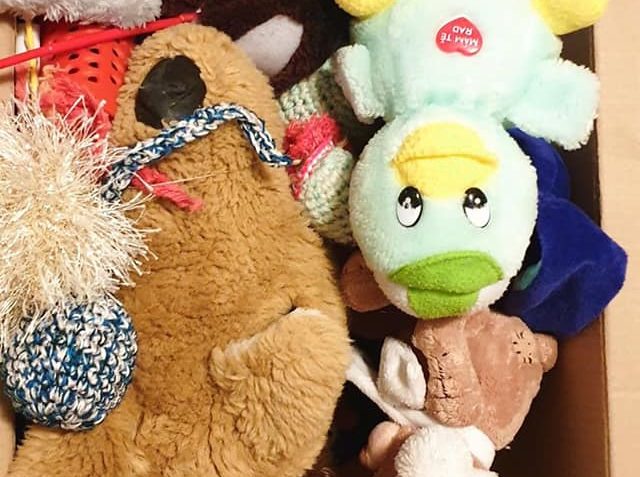 DĚKUJEME ZA BALÍČEK DO NAŠEHO BAZÁRKU A ZA DÁRKY PRO KOČIČKY...