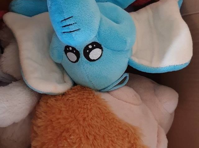 DĚKUJEME ZA VELKOU KRABICI HRAČEK PRO KOČIČKY A DO BAZÁRKU O...