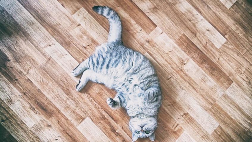 FOTKY JAKO ŽE ŽURNÁLU...