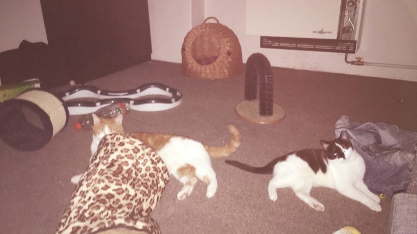 INEZKA alias SISINKA...