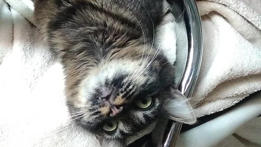 JAK SI KDO USTELE  TAK SI LEHNE...