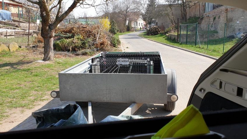 JE HEZKY  TAK VYRÁŽÍME NA ODCHYT...