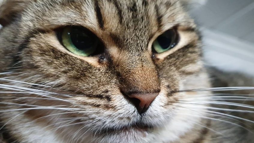 JEŠTĚ JEDNOU ŘEHOŘ...