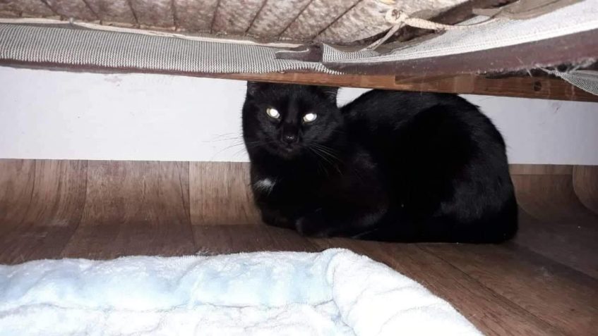 KROUŽEK / teď LUPÍNEK...