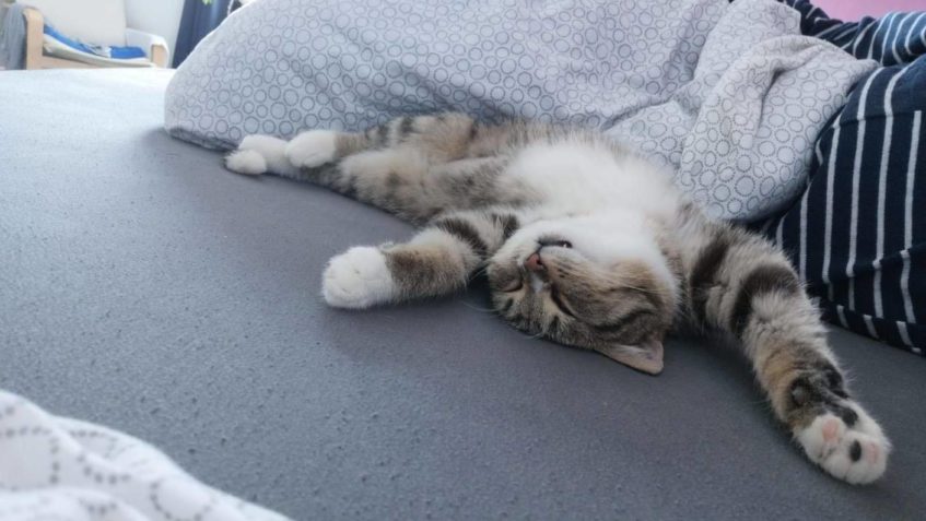 LUCIFEREK  u nás JIDÁŠ...