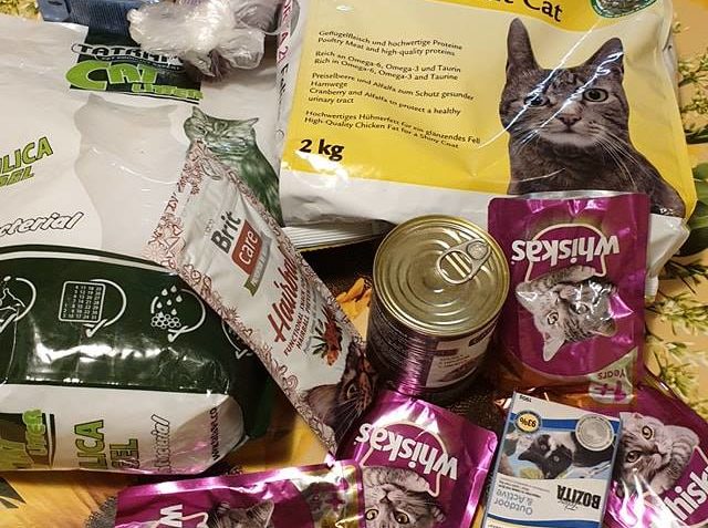 MALÝ DÁREK PRO KOČIČKY  ZE VČEREJŠÍ BENEFIČNÍ TANEČNÍ SHOW...