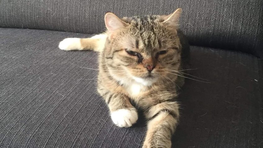 MILUJEME VÁS  - NAŠE SLUNÍČKOVÁ  RODINO,...