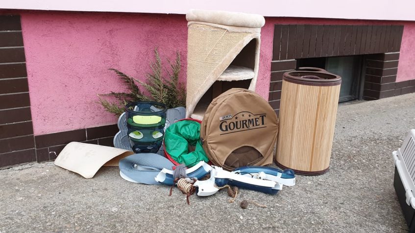 MOC DĚKUJEME ZA DÁREČKY PRO NAŠE KOČIČÁKY