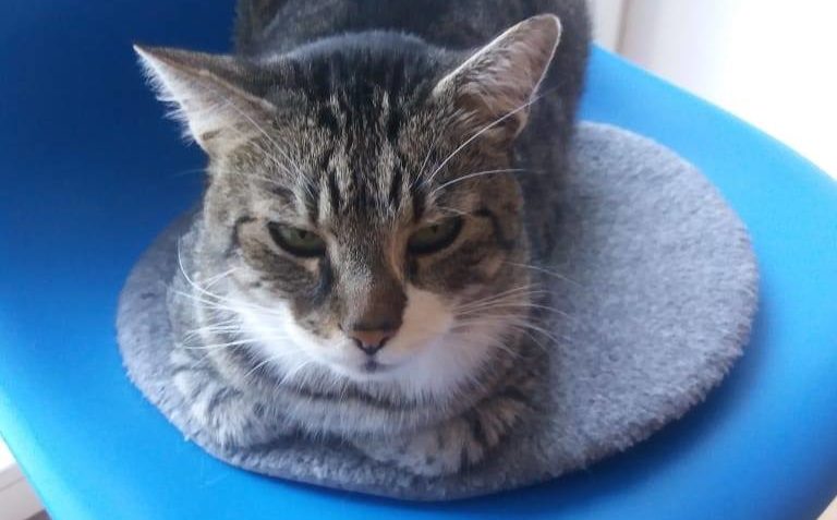 MOUREK TO MĚL ZE ZAČÁTKU FAKT TĚŽKÝ, , NĚKOLIK NEPOVEDENYCH ...