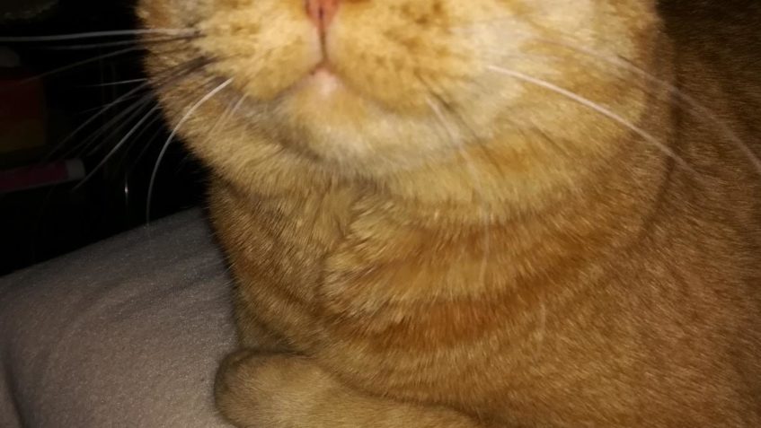 NAPSAL NÁM I BARNABÁŠ...