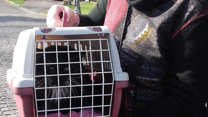 POSLEDNÍ KDO DNES NAŠEL DOMOV JE CHLUPATÝ A ULTRAMAZLIVÝ KOC...