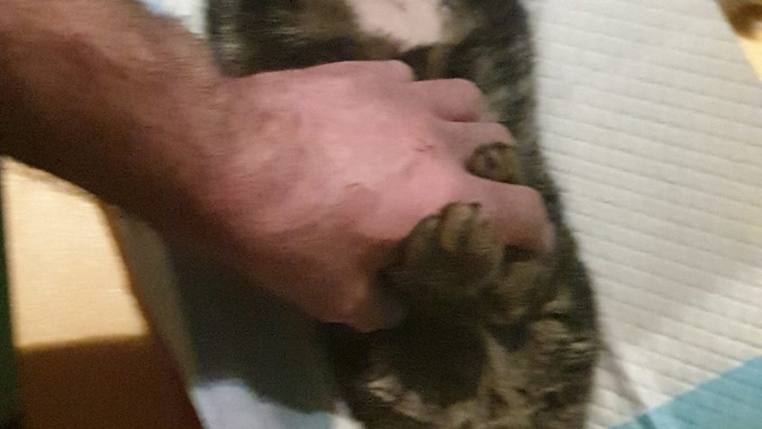 PROTOŽE SI SOPLÍK VYTRHL KANYLU A JEHO STAV SE NIJAK NEZMĚNI...