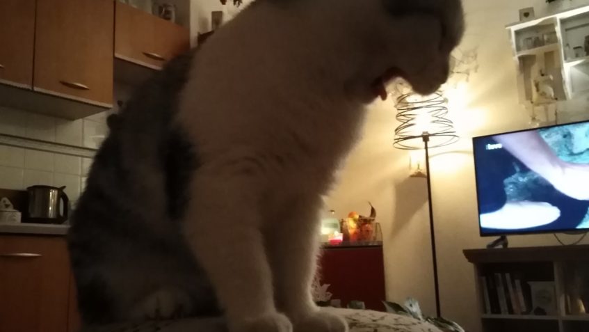 ROZÁRKA V NOVÉM DOMOVĚ  Ma i vlastní fcb stránky Drak