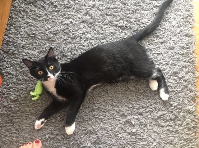 SERAFÍNKA UŽ JE VELKÁ HOLKA , A TAK MUSELA NA PLÁNOVANOU KAS...