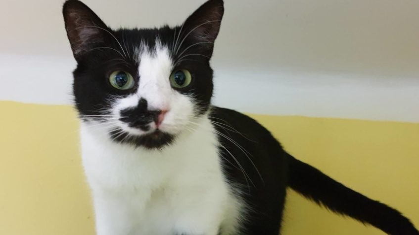 TADY PÓZUJE MODELKA MADONKA...