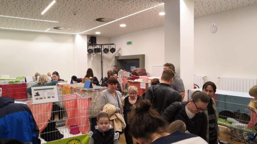 UMISŤOVACÍ VÝSTAVA POŘÁDANÁ VČERA spolkem ANAMAL'S O S ...